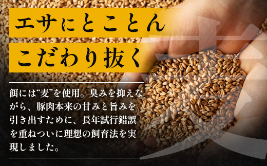 鹿児島県産 ひかり麦豚 モモかつ 計1.6kg （200g×8パック）衣つき トレーなし 冷凍 HM-8 | 肉 お肉 にく 豚肉 モモ肉 トンカツ 解凍して揚げるだけ 真空冷凍 新鮮 小分け 産地直送 鹿児島県 南大隅町 ひかり麦豚直売所