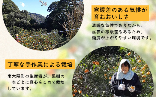 【訳あり】《先行予約》南大隅の太陽浴びた甘くて・おいしい ぽんかん 約5kg【数量限定】＜2026年1月中旬以降順次発送＞ ID-2｜訳あり 訳アリ ぽんかん ポンカン 柑橘 カンキツ 柑橘類 詰め合わせ 産地直送 先行予約 おすすめ 人気 南大隅町