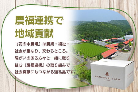 花の木農場【ニラ餃子】50個 HK-502｜ぎょうざ ギョーザ ギョウザ 餃子 揚げ餃子 スープ餃子 冷凍餃子 ニラ キャベツ 肉 豚肉 冷凍 冷凍食品 惣菜 弁当 おかず 工場直送 簡単調理 国産 厳選 ノウフク 第2花の木ファーム