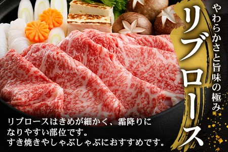 鹿児島黒牛 リブロース スライスセット  (350g×2Ｐ) 計700g JA-1｜国産 鹿児島県 牛肉 黒牛 黒毛和牛 和牛 リブロース スライス すき焼き しゃぶしゃぶ 冷凍 産地直送 【M-2201】