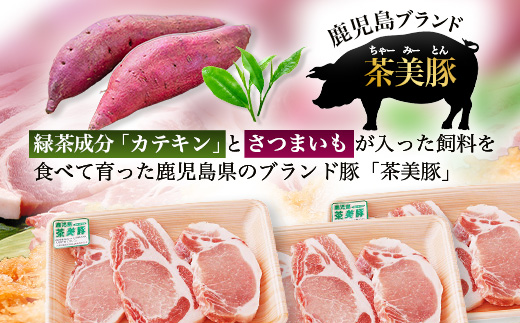 鹿児島県産 茶美豚 ロース セット とんかつ・トンテキ用 (300ｇ×3Ｐ) 計900g｜国産 豚肉 ぶた肉 精肉 茶美豚 ブランド肉 ロース 豚カツ トンテキ 冷凍 鹿児島県 南大隅町 JA-3