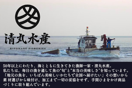 【大人気セット】炙りサバとトビウオの混ぜ飯の素（約173g×1個）＋炙りサバ茶漬け（4食分）｜産地直送 混ぜご飯 魚 鯖 漁師めし 人気 セット 鹿児島県 南大隅 清丸水産　KS-11