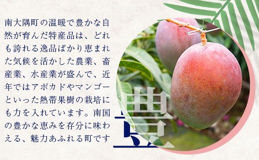 【返礼品なしの寄附】鹿児島県南大隅町 1口:7,000円 MN-11│鹿児島県 南大隅町 寄付 寄附 応援 支援 応援寄付金 支援寄付金 寄付のみ 返礼品なし 返礼品なしの寄付 7000円 