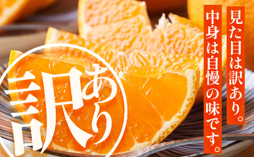 【数量限定・訳あり】しらぬい 約3㎏(10～12玉) MS-1｜不知火 柑橘 みかん ミカン 蜜柑 果物 生果 旬 フルーツ デコポン と同品種 国産 産地直送 家庭用 鹿児島県 南大隅町