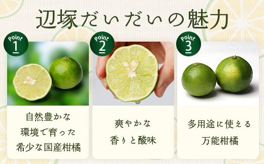 辺塚だいだい 約10kg NK-3｜果物 柑橘 辺塚だいだい へつか 産地直送 詰め合わせ 10kg 国産 新鮮 おすすめ 人気 南大隅町