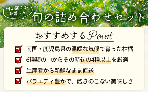 【数量限定】おたのしみ！旬の柑橘詰め合わせセット(４種約５kg) NK-4 ≪2026年1月中旬より準備が出来次第発送≫｜果物 柑橘 大将季 ぽんかん スイートスプリング 津之輝 麗江 サワーポメロ 南大隅町 産地直送 詰め合わせ 5kg 国産 数量限定 