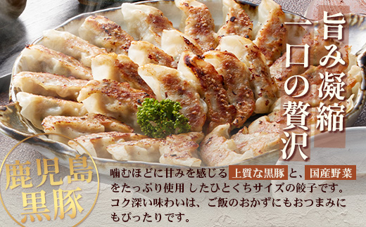 鹿児島県産 黒豚しゃぶしゃぶ&ひとくち餃子詰合せ 計約600g NS-15 | 肉 お肉 豚肉 豚 にく ぶた かごしま黒豚 ロース肉 肩ロース バラ肉 ぎょうざ ひとくち餃子 冷凍 鹿児島県 南大隅町 南州農場