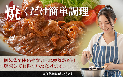 鹿児島県産 黒豚生姜焼き（100g×1パック） 味付き肉 冷凍 NS-20 | 鹿児島 黒豚 かごしま黒豚 お味見 お試し お一人様用 お肉 肉 豚肉 しょうが焼き 焼くだけ 味付き おかず お弁当 加工肉 真空パック 鹿児島県 南大隅町 南州農場