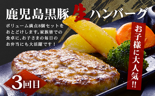 ［新春］≪全3回≫ 鹿児島県産 黒豚三昧 定期便 ♪ ＜ 黒豚味噌漬け 生姜焼き 生ハンバーグ ＞ ★☆＼＼ 黒豚ロース味噌漬け バナナマンの早起きせっかくグルメで紹介されました！！／／☆★ 南州農場 かごしま黒豚 NS-29 | 肉 お肉 豚肉 豚 にく ぶた 鹿児島黒豚 ハンバーグ 味噌漬け 生姜焼き おかず ジューシー お弁当 国産 肉定期便 鹿児島県 南大隅町 南州農場