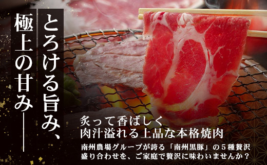 かごしま黒豚５種 贅沢盛り合わせ ( 約1kg ) NS-34 | 豚肉 ぶた セット ５種 冷凍 詰め合わせ 肩ロース ロース バラ もも ももスライス 赤身 脂身 薄切り 部位 焼肉 しゃぶしゃぶ 生姜焼き 家庭料理 炒め物 南大隅町 南州農場