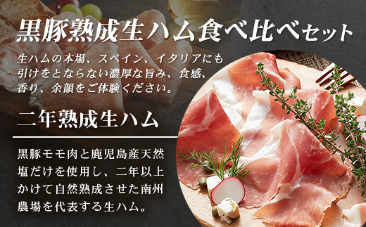 南州農場 黒豚熟成生ハム 4種食べ比べ セット 冷蔵 NS-9 | 国産 肉 お肉 豚肉 豚 にく ぶた かごしま黒豚 生ハム 最高峰 熟成ハム コッパ パンチェッタ コッホサラミ スパイス サラミ 詰め合わせ 産地直送 ギフト プレゼント 贈り物 鹿児島県 南大隅町