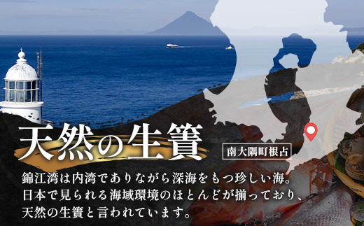 鹿児島県産 サバ 干物 (半身分1枚入り)×3パック ≪合計3枚≫ PT-4 | 開き 大隅干し 冷凍 国産 鯖 ごまさば ひもの 海鮮 新鮮 瞬間冷凍 産地直送 加工品 朝ご飯 おかず グルメ 鹿児島県 南大隅町 ピットスリー