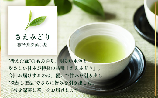 【先行予約】【2026年摘みたて！】ナナ茶 新茶贅沢2種セット 被せ深蒸し茶 さえみどり（80g×1P） ＆ 被せ茶 あさのか（80g×1P）RS-11｜お茶 茶 茶葉 お茶の葉 被せ茶 玉露仕立て 緑茶 高級緑茶 高級 日本茶 鹿児島茶 国産 おしゃれ ブレンド茶 シングルオリジン 被覆栽培 鹿児島県 南大隅町