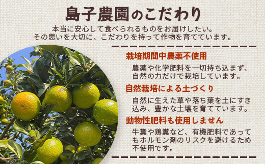 【訳あり】【数量限定】鹿児島県南大隅町産 スイートスプリング （S～M玉） 約5kg 【2025年12月中旬以降順次発送】 SK-19 | 柑橘 フルーツ 国産 果物 みかん 期間限定 数量限定 産地直送 もぎたて 新鮮 果汁 たっぷり ミカン スイートスプリング 5kg 南大隅町 鹿児島県 島子農園