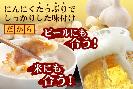 《リピーター続出！》佐多の田中肉屋 ニンニクたっぷりやみつき餃子 240個（12個入り×20パック） 餃子のタレ3本付き TA-2 | ぎょうざ 餃子 ギョウザ 豚肉 ひき肉 にんにく スタミナ餃子 焼くだけ 簡単 小分け 大容量 手作り お惣菜 おかず 冷凍 鹿児島県 南大隅町 田中精肉店