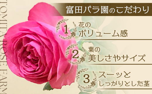 【お歳暮】【人気の春・冬薔薇をお届け】ばら農家直送！バラ花束30本以上お届け(色はおまかせ) 【ギフト対応可】TB-16-os│ローズ 新鮮 花 フラワー 花束 ばら 薔薇 バラ 誕生日 記念日 結婚祝い ギフト プレゼント お祝い 贈り物 贈答 鹿児島県 南大隅町 富田バラ園 お歳暮