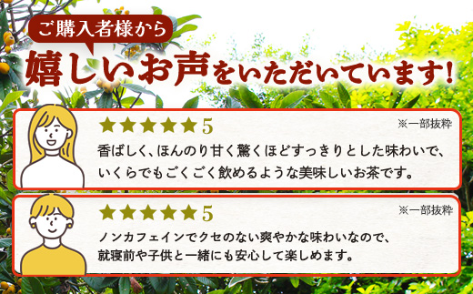 根占枇杷茶 茶葉  1袋（120g入）煮出し用 TO-17-NP | ねじめ びわ茶 国産 使い切り トルマリン石 焙煎 健康茶 お茶 煮だし 飲みやすい 香ばしい おいしい びわの葉 ネコポス 鹿児島県 南大隅町 十津川農場