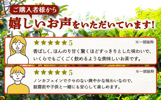 【定期便 全6回】≪6ヶ月連続で毎月お届け≫ 鹿児島県産 ねじめびわ茶 ティーバック ≪1回あたり(24包入×1袋) ≫ ノンカフェイン  TO-2-NP| 国産 お茶 健康茶 びわ茶 ポリフェノール びわの葉 産地直送 ネコポス 鹿児島県 南大隅町 十津川農場