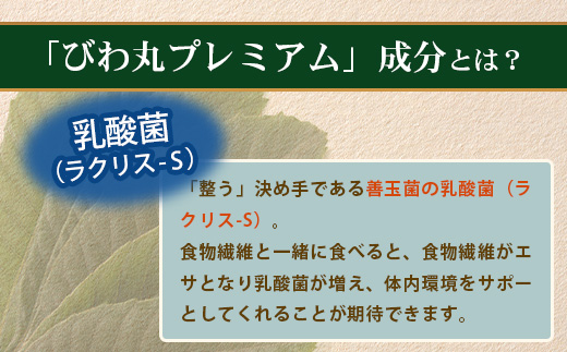 びわ丸プレミアム 1袋(120粒入) 健康補助食品 びわ茶含有加工食品 TO-8-NP| 国産 びわ茶 びわの葉 サプリメント 乳酸菌 ノンカフェイン ポリフェノール ネコポス 鹿児島県 南大隅町 十津川農場