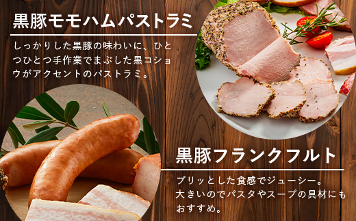 鹿児島県産 黒豚バラエティセットC 約750g (鹿児島黒豚焼豚200g・鹿児島黒豚モモハム200g・黒豚モモハムパストラミ200g・黒豚フランクフルト×150g) NS-511 | 肉 お肉 豚肉 豚 にく ぶた かごしま黒豚  ソーセージ チャーハン ポトフ スープ おつまみ 野菜炒め 冷蔵 鹿児島県 南大隅町 南州農場