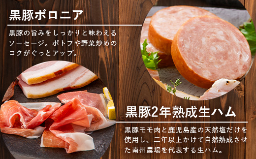鹿児島県産 黒豚ギフトB 8種セット 約1.48kg NS-513 ｜ 肉 お肉 豚肉 豚 にく ぶた かごしま黒豚 焼豚 モモハム パストラミ ベーコン 厚切り ハム ウィンナー ボロニア 生ハム ウィンナー 冷蔵 詰め合わせ 贈り物 鹿児島県 南大隅町 南州農場