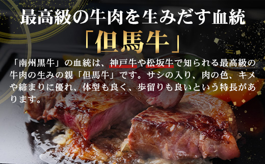 鹿児島県産 南州黒牛 霜降りロースステーキ 約600g （300g×2枚） 牛ロース肉 オリジナルブランド牛 NS-514 | 国産 黒毛和牛 牛 うし 牛肉 ロース サシ やわらかい 冷凍 ステーキ 鹿児島県 南大隅町 南州農場