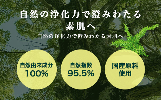 【100％自然由来】ティーツリー化粧水（150ml×1本） BF-522 │美容 化粧品 化粧水 スキンケア 肌ケア ボディケア 頭皮 ローション ティーツリー アーチチョーク レモングラス 基礎化粧品 化粧下地 整肌 乾燥肌 肌荒れ 保湿 潤い うるおい ハリ 弾力 hフケ かゆみ ボタニカノン BOTANICANON ケミカルフリー 鹿児島県 南大隅町 ボタニカルファクトリー 