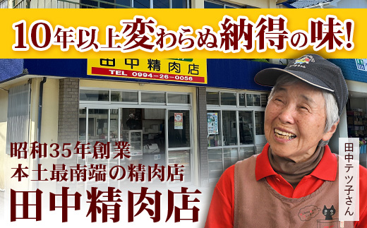 《リピーター続出！》佐多の田中肉屋 ニンニクたっぷりやみつき餃子 60個 (12個入り×5パック) TA-401 | ぎょうざ 餃子 ギョウザ 豚肉 ひき肉 にんにく スタミナ餃子 焼くだけ 簡単 小分け 大容量 手作り お惣菜 おかず 保存料不使用 冷凍 鹿児島県 南大隅町 田中精肉店