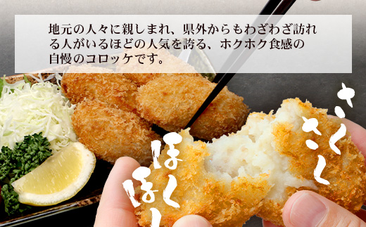 佐多の田中肉屋 スペシャルパック（餃子・コロッケ・味付唐揚げ）冷凍便 TA-405 | 国産 お惣菜 手作り 餃子 ギョーザ やみつき ニンニク から揚げ 若鶏唐揚げ 鶏肉 揚げるだけ コロッケ 大容量 おかず 弁当 おつまみ 保存料不使用 簡単調理 産地直送 鹿児島県 南大隅町 田中精肉店 