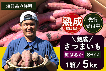 【鹿児島県産】熟成 紅はるか 5kg (1箱 ) Sサイズ さつまいも 【2025年11月下旬より順次発送】FR-212