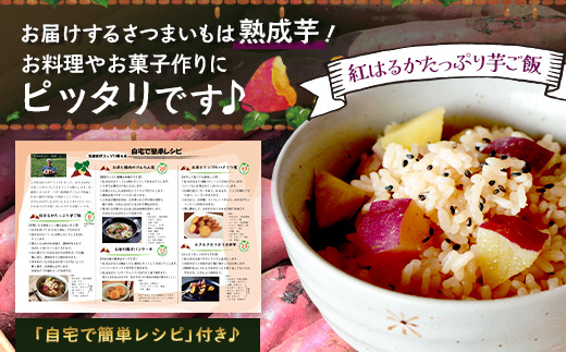 【鹿児島県産】熟成 紅はるか 5kg (1箱 ) Mサイズ さつまいも【2025年11月下旬より順次発送】FR-214