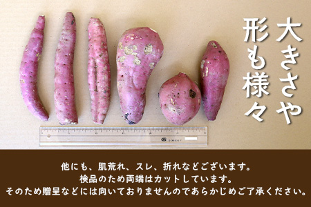 【訳あり】【先行予約・2025年11月下旬より順次発送】鹿児島県産 熟成 紅はるか 5kg (1箱 ) Sサイズ (おすそ分け袋／美味しい焼き芋の焼き方 説明書付き） FR-217 | さつまいも サツマイモ 焼き芋 べにはるか おやつ 煮物 芋ごはん 味噌汁 鹿児島県 南大隅町 株式会社フォレスト 訳あり