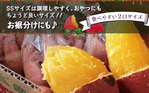 【先行予約・2026年1月～発送】熟成 さつまいも 紅はるか 4.5kg (500g×9袋) SSサイズ FR-302 ｜ 鹿児島県産 さつまいも サツマイモ べにはるか 産地直送 野菜 やさい 国産 南大隅町 株式会社フォレスト