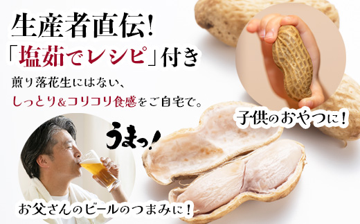 【先行予約】食べ応え抜群の大粒落花生「おおまさり」500g袋×２袋≪数量限定≫　FR-311 ｜鹿児島県産 野菜 やさい 食品 人気 おすすめ 送料無料 落花生 おおまさり 産地直送 新鮮 南大隅町