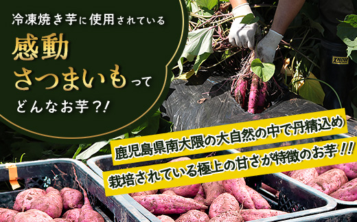 【冷凍焼芋】感動さつまいも 熟成紅はるか 500g×5パック FR-504 | サツマイモ 焼き芋 紅はるか べにはるか 熟成芋 長期熟成 冷凍 スイーツ お菓子 甘い お中元 お歳暮 ギフト プレゼント 保存料不使用 鹿児島県 南大隅町 株式会社フォレスト