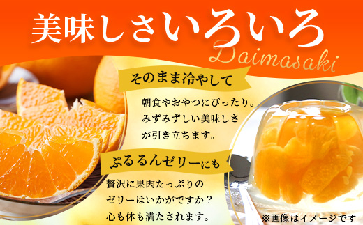 数量限定【先行予約・2025年12月～配送】大将季 約3kg (8～12個)  NT-504｜だいまさき 柑橘 みかん 果物 新鮮 産地直送 数量限定 先行予約 国産 鹿児島県 南大隅町