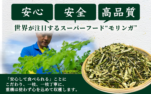 【佐多岬 モリンガパウダー】1袋 ( 80g×3袋 ) MD-708 ｜モリンガ 佐多岬 スーパーフード 栄養バランス オーガニック 健康  南大隅町 美容 アンチエイジング デトックス