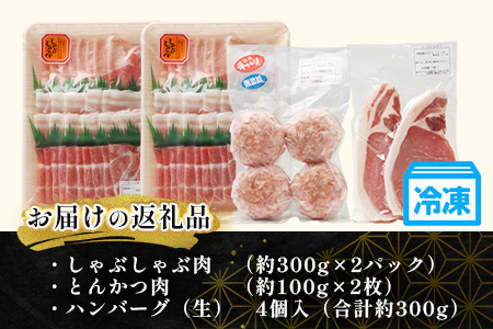 【ふるさと納税】鹿児島県産 ひかり麦豚【しゃぶしゃぶ 食べ比べ + とんかつ肉 + ハンバーグ】セット ≪合計1.1kg≫ HM-702  | 肉 お肉 にく 豚肉 ロース 肩ロース バラ肉 スライス 冷凍 産地直送 新鮮 送料無料 鹿児島県 南大隅町