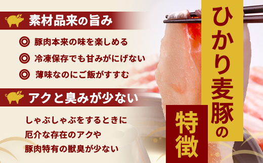 鹿児島県産 ひかり麦豚 手捏ねハンバーグ セット サイズ違い 大中小 ≪合計22個≫  HM-705 | 肉 お肉 にく 豚肉 絶品 ハンバーグ 添加物不使用 肉汁 ジューシー おかず お弁当 ロコモコ 冷凍 産地直送 小分け 鹿児島県 南大隅町 ひかり麦豚直売所