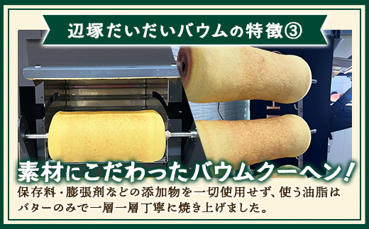 バウムクーヘン  ≪極≫ 辺塚だいだい 直径約15cm SH-713 │バウムクーヘン バームクーヘン スイーツ ケーキ 辺塚 へつかだいだい 柑橘 焼き菓子 洋菓子 お菓子 おかし おやつ デザート プレゼント 贈り物 ギフト 常温 鹿児島県 南大隅町 31℃LINE花子