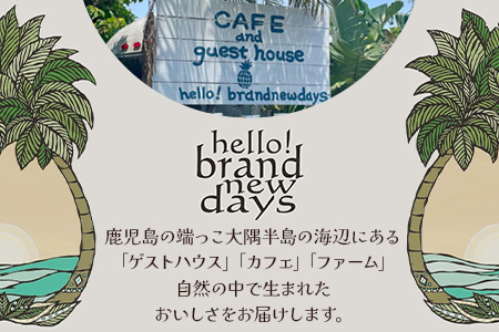 本土最南端のパッションフルーツで作る！バスクチーズケーキ（直径約15cm） HB-705│ パッションフルーツ リリコイ ケーキ バスク チーズ スイーツ 菓子 鹿児島県 南大隅町 hello! brand new days 