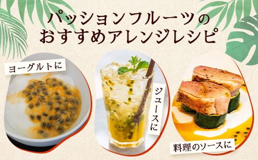 【2026年・先行予約】【訳あり品】家庭用パッションフルーツ1kg ( 約11～12個 )濱田農園 HB-707