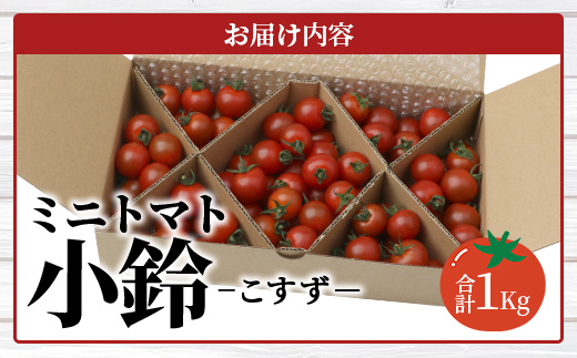 田淵さんちの美味しい ミニトマト 小鈴（約1kg）GP-708｜野菜 トマト ミニトマト 産地直送 ミニトマト 新鮮 トマト 南大隅町産 ミニトマト おいしい ミニトマト