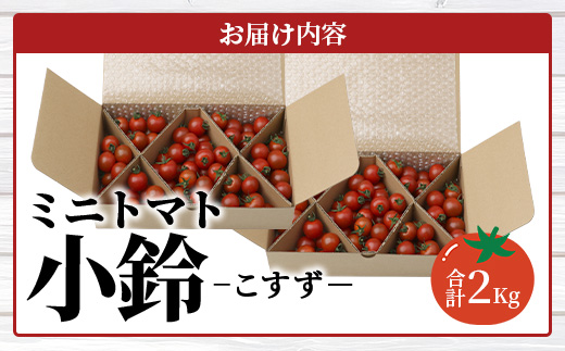田淵さんちの美味しいミニトマト 小鈴約2kg（1.0kg×2箱） GP-709| 野菜 トマト ミニトマト 産地直送 ミニトマト 新鮮 トマト 南大隅町産 ミニトマト おいしい  ミニトマト