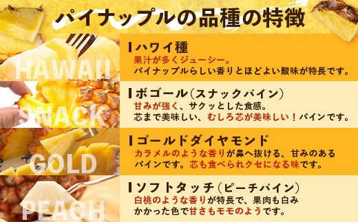 【先行予約・数量限定！】国産パイナップル　約3ｋg（3～5玉）～なか農園おまかせセット～ NK-001 ｜パイナップル パイン フルーツ 果物 くだもの 先行予約 数量限定 産地直送 新鮮 旬 ハワイ種 ピーチパイン ゴールドダイヤモンド ボゴール なか農園 鹿児島県 南大隅 