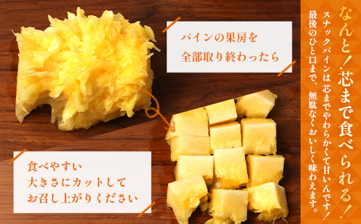 【先行受付】パイナップル/ボゴール種 (約800g×2玉) ≪2026年7月下旬以降順次発送≫ DS-004 ｜パイン パイナップル パインアップル フルーツ ボゴールパイン スナックパイン 産地直送 送料無料 鹿児島県 南大隅町 株式会社デラセーラ