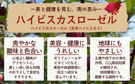 本土最南端！ハイビスカスローゼルうどん（5袋）と地魚のさつまあげ（5枚×2袋）セット MO-015｜うどん ハイビスカス ローゼル さつまあげ 地魚 麺 食品 加工食品 人気 おすすめ  オリジナル  鹿児島県 南大隅町
