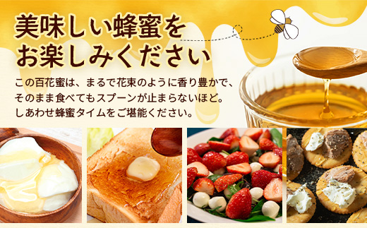 蜂蜜 百花はちみつ 580g《数量限定》【日本みつばち】 TU-001 | 国産 はちみつ ハチミツ 蜂蜜 ハニー 百花蜜 百花はちみつ 天然 非加熱 産地直送 鹿児島県 南大隅町 椿山ファーム