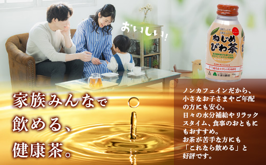 【定期便 12ヶ月全6回】 鹿児島県産 ねじめびわ茶 ボトル缶 12ケース ≪ 1回あたり48本 (24本入り×2箱) ≫ 2か月おきにお届け ノンカフェイン TO-525| 国産 お茶 健康茶 カロリーゼロ 無香料 無着色 ポリフェノール さわやか 甘み 香ばしい おいしい びわの葉 産地直送 鹿児島県 南大隅町 十津川農場