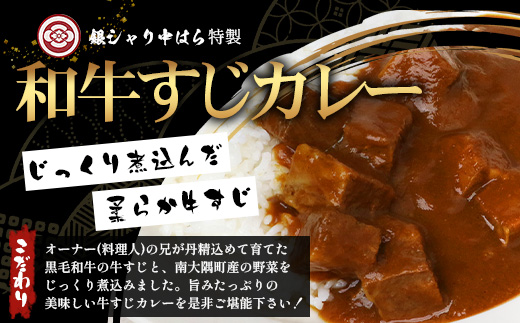 ［2種類］＼日本料理人の手作り／ 鹿児島県産 黒毛和牛レトルトパック 2種セット ≪合計6パック≫ビーフシチュー（240g×3パック）/すじカレー（240g×3パック）GN-11｜鹿児島県 南大隅町 あたためるだけ 黒毛和牛 牛すじ 牛肉 カレー ビーフシチュー おかず 時短 銀シャリ中はら